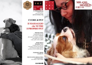 CUORE di PET - MiS 2015