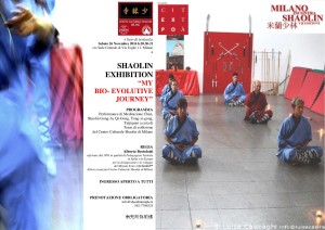 shaolin-exhibition-my-bio-evolutive-journey